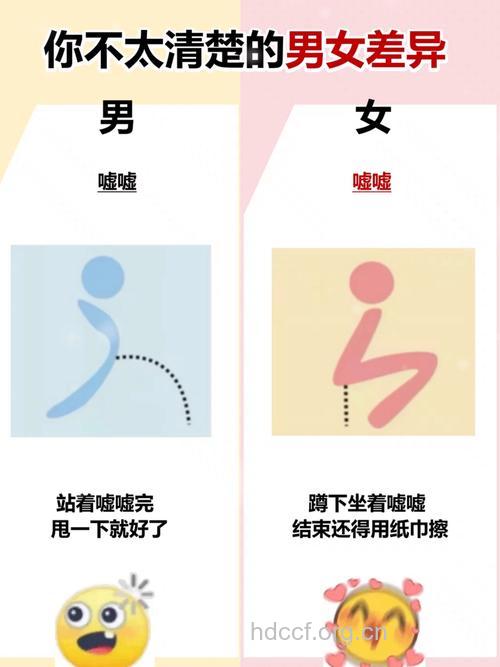 男女性癖好有何不同