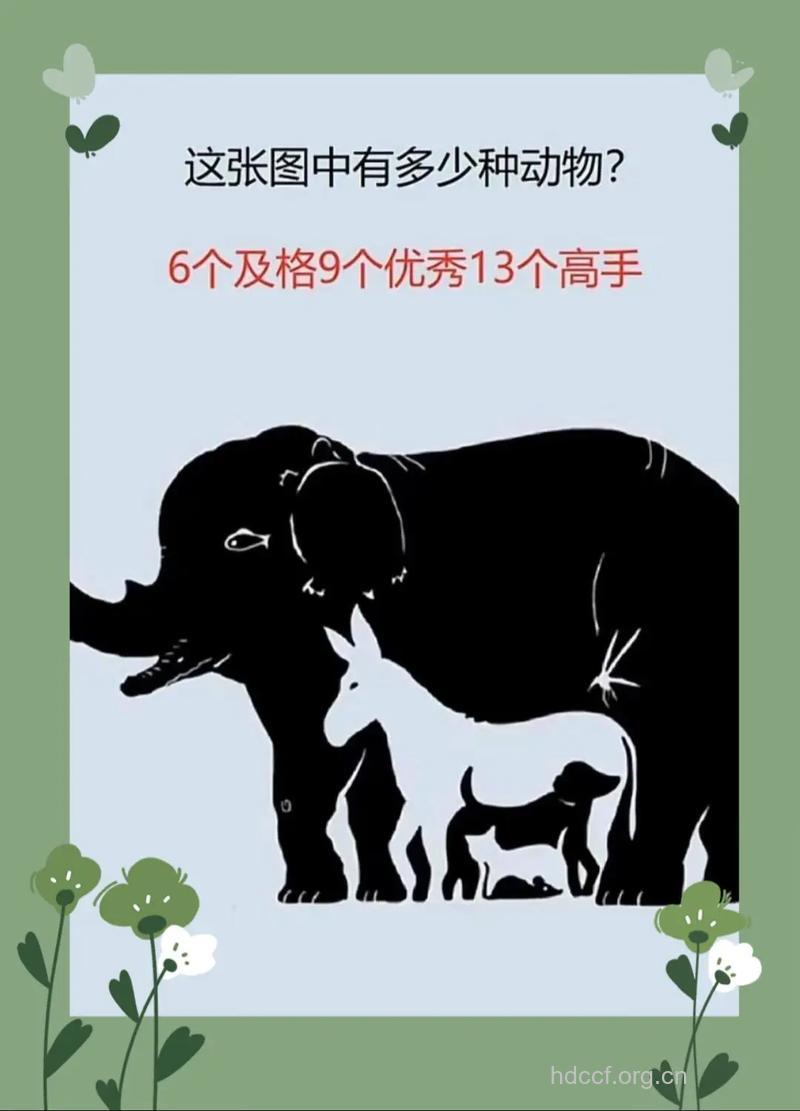 为何看到动物就想打