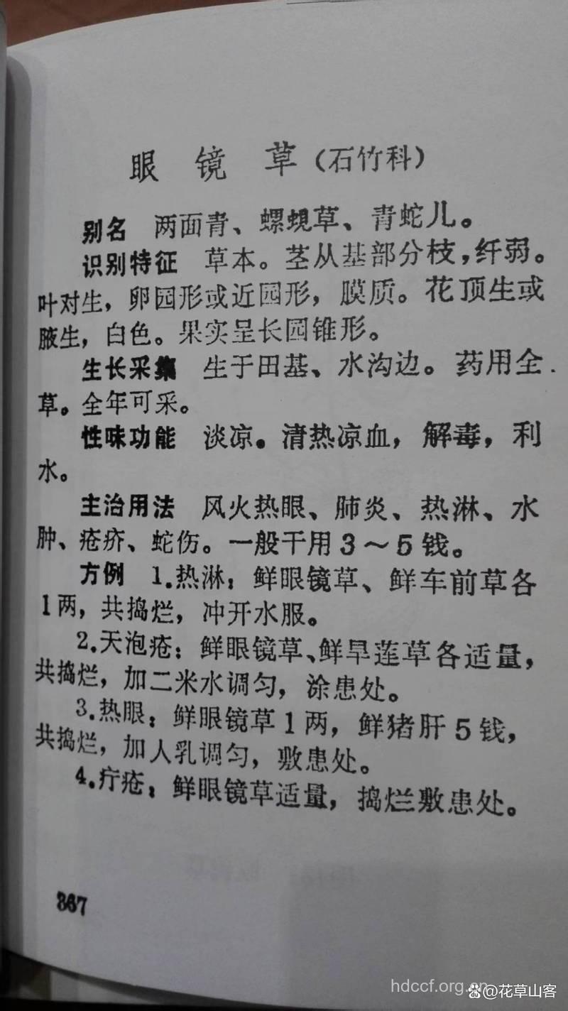 治疗青光眼的中药食疗方有哪些