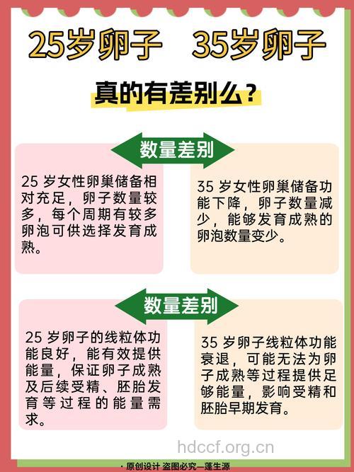 五种女人应该查查卵子