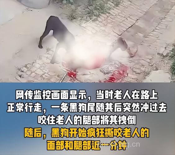 老人被小狗舔后竟患上强迫症