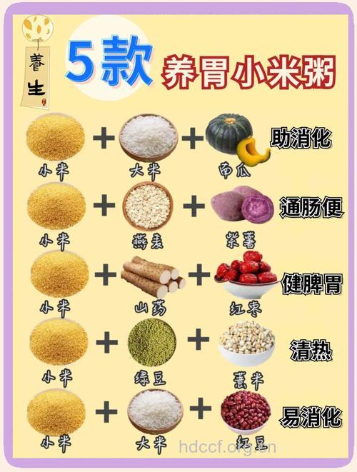 五道美味养生粥 对胃就对了