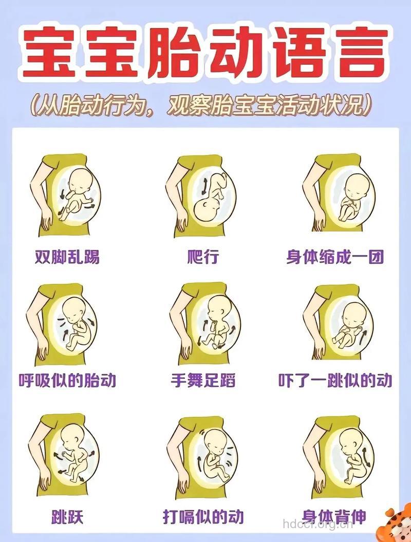 不同状况有什么不一样的胎动