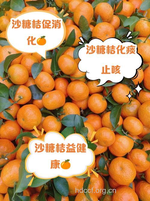 多吃桔类水果可预防近视聚光