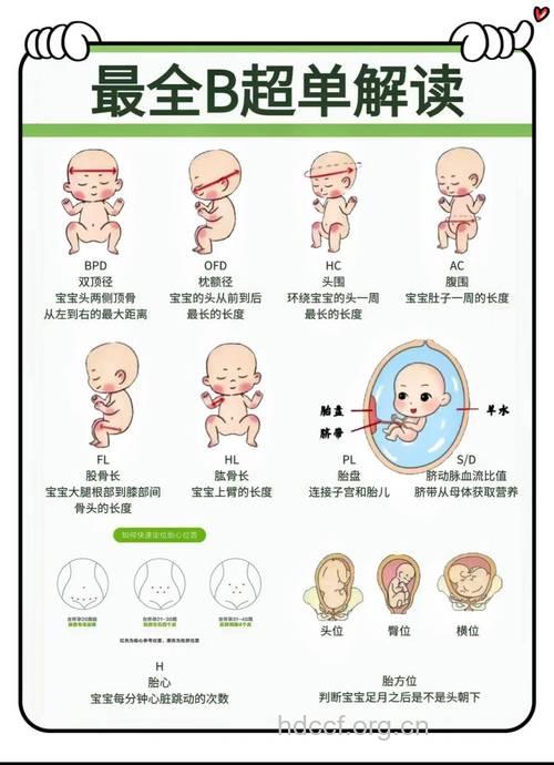 教准妈妈轻松明白看B超