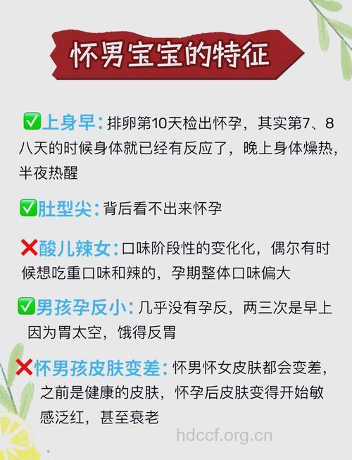 哪些人更容易生出天才宝宝