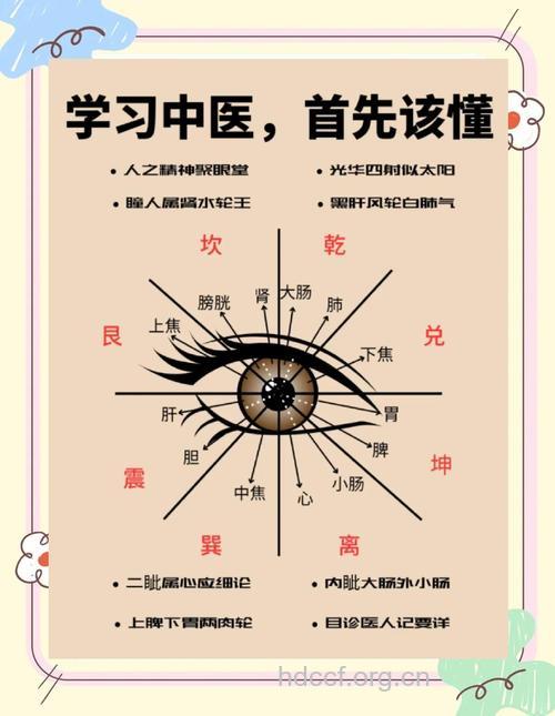 望眼球辨疾病