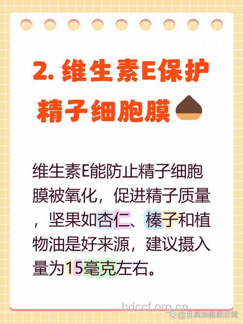 补充什么维生素提高精子质量