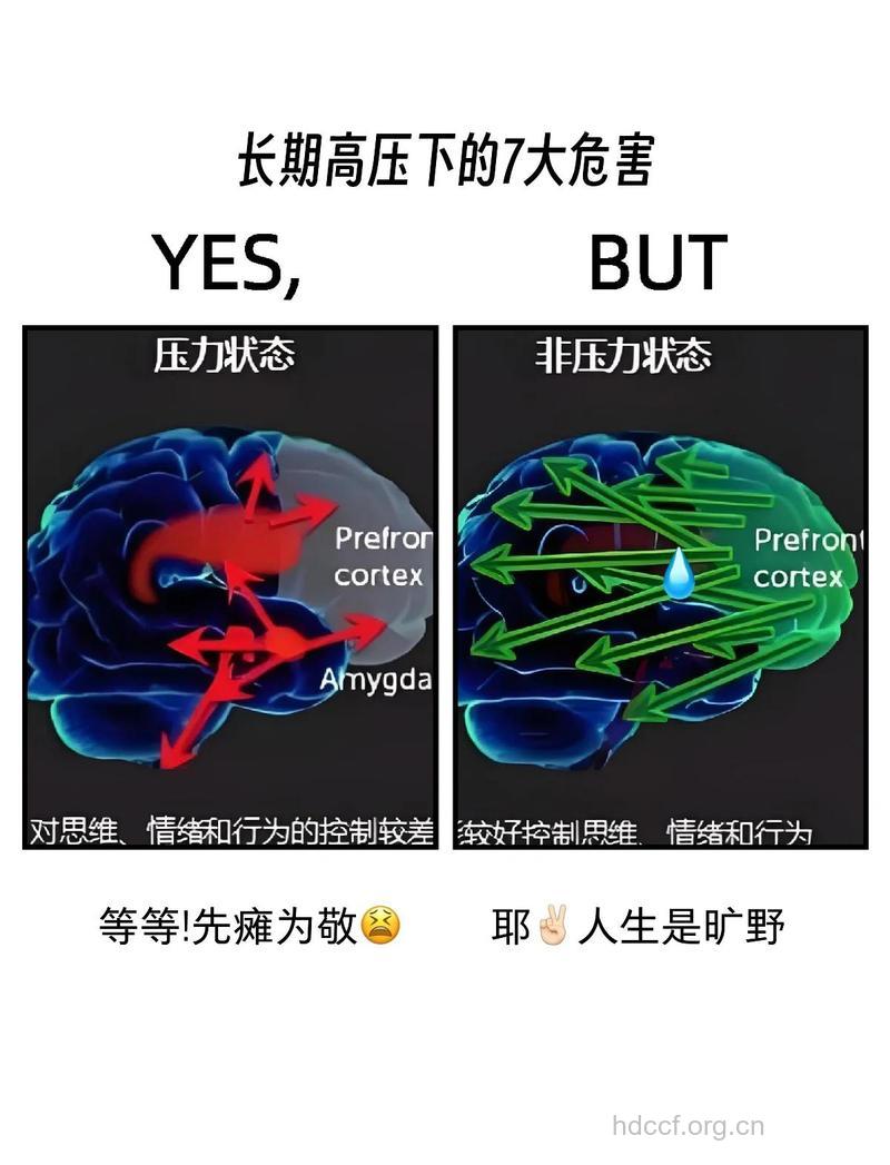 压力大要解压 否则会有这些坏处