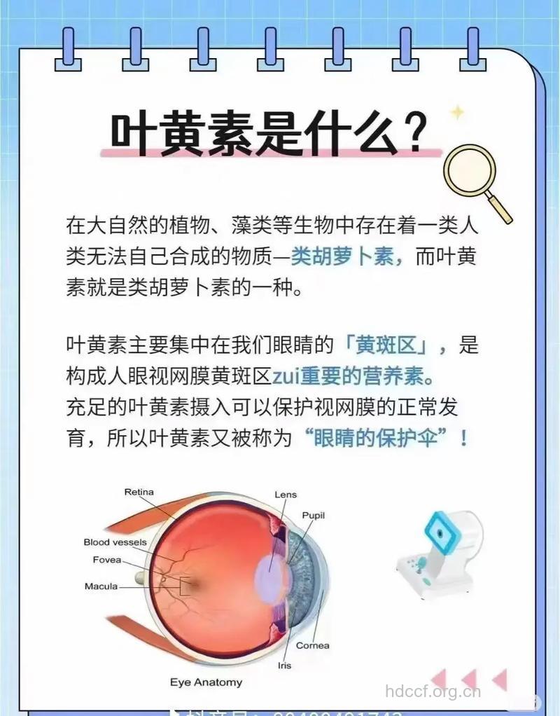 叶黄素对青光眼有什么好处