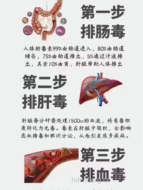 饮食排毒第一步:先禁食减少毒素