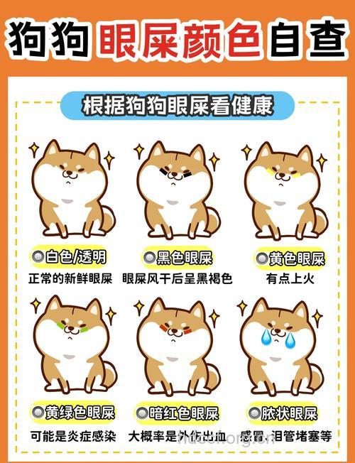 如何通过眼屎分辨眼病
