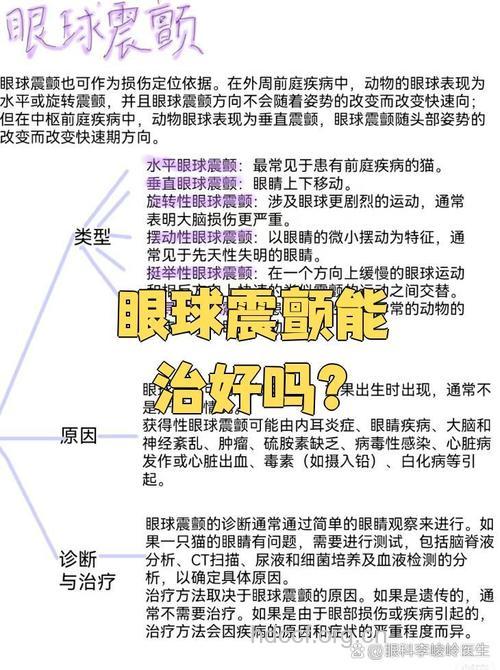 眼球震颤治疗原则