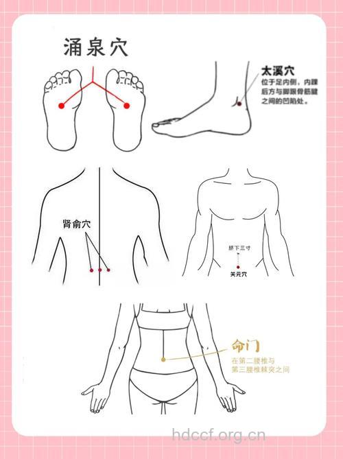 如何判断男人需要补肾 按按这些穴位就可以