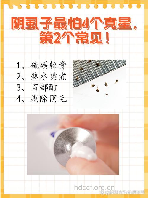 他的阴虱病是这样根除的