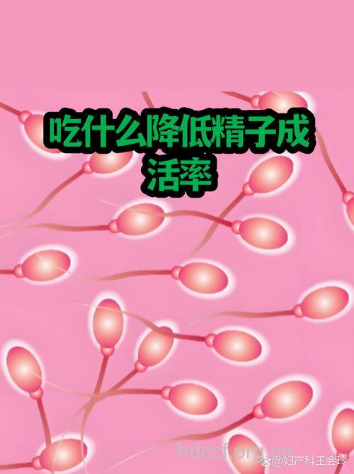 长期吃快餐竟会影响女人受孕