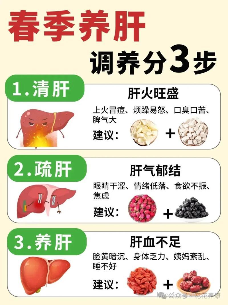 想要补肝 就要抓住三大补肝时期