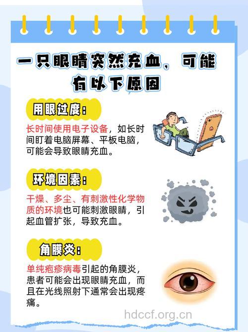关于红眼病的更深一步思考