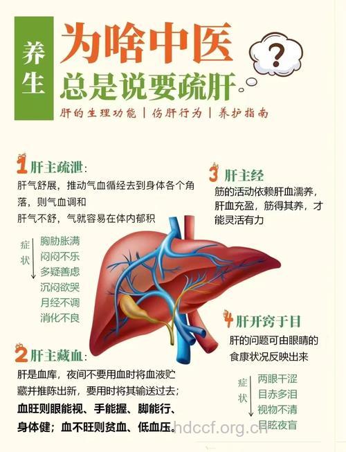 想要好气色 首先得养好肝脏