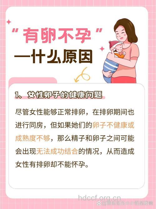 不排卵能怀孕吗 详细不排卵的原因