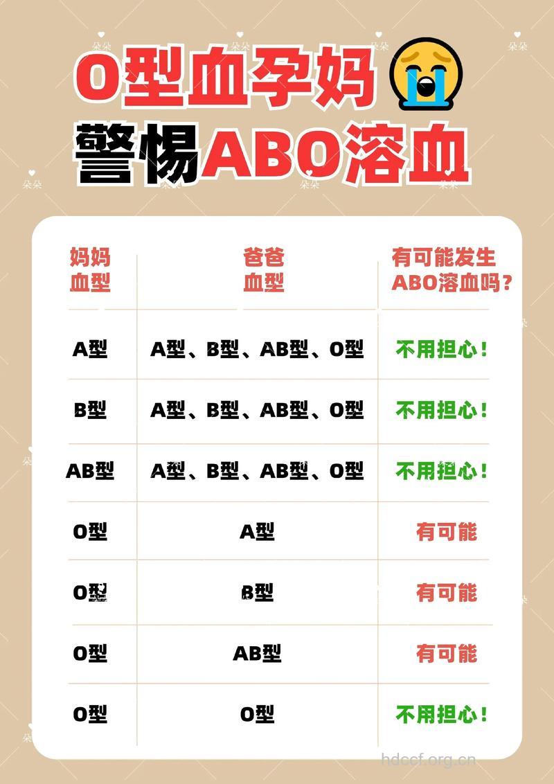 O型血女性是否不容易受孕