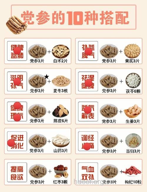 孕妇补气血 可以吃党参进补吗