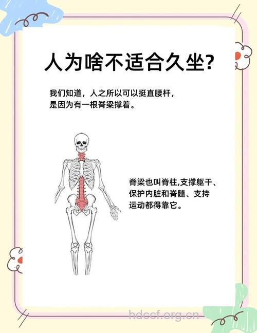久坐危害大 五个方法缓解久坐危害
