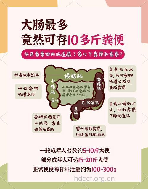 想要长生就要肠中清 三步清理肠道垃圾