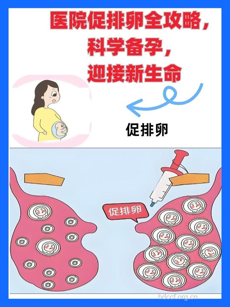 4个措施有效预防排卵障碍