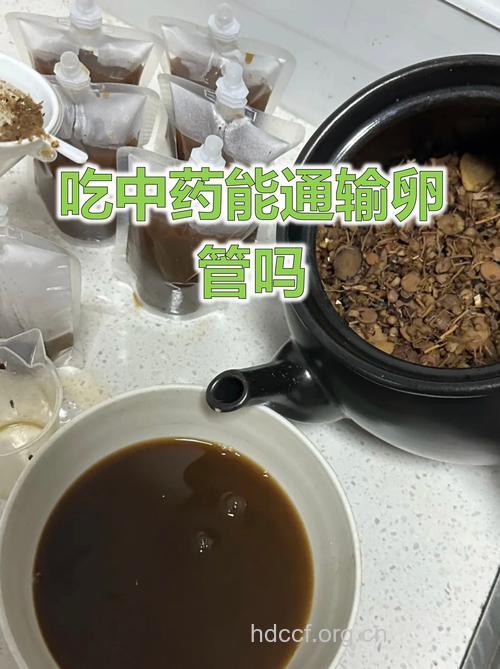 女性输卵管不通吃什么好