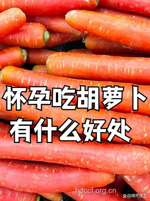 爱吃胡萝卜也会吃走好“孕”