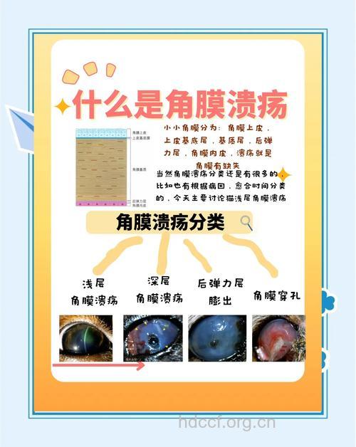 为什么会导致眼角膜溃疡