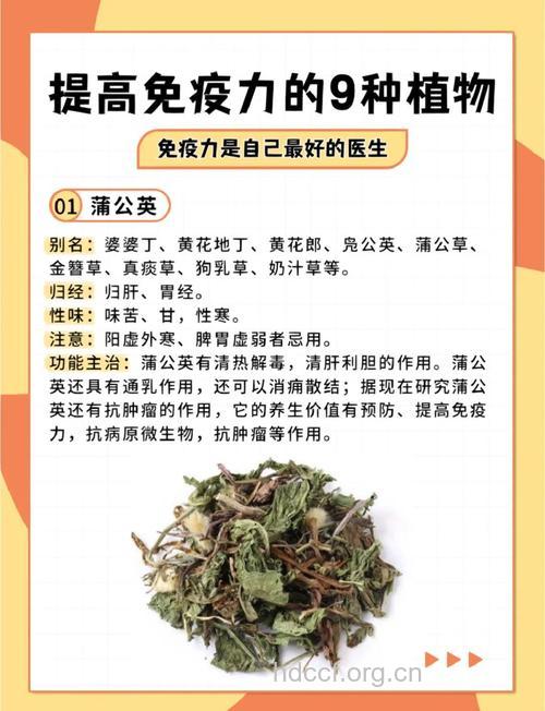 中药制剂可修复受损免疫功能？