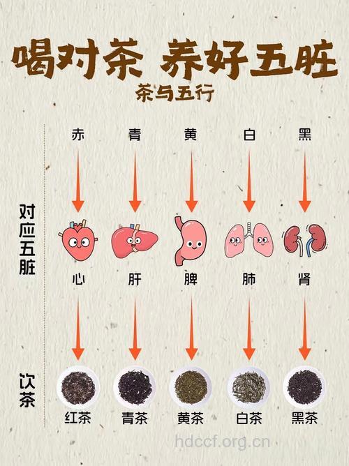 喝对茶能养生 五色茶对应养五脏
