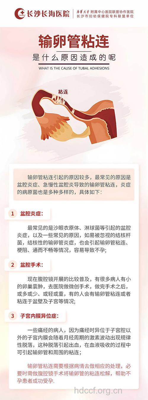 输卵管及卵巢功能正常 也可导致不孕
