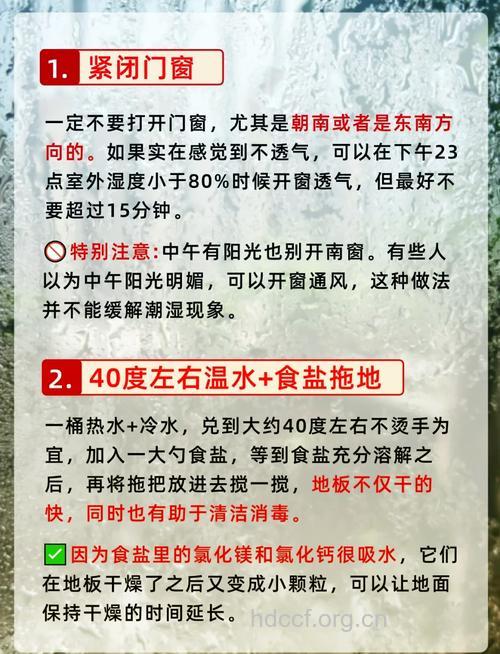 回南天来袭 身体内部也要祛祛湿