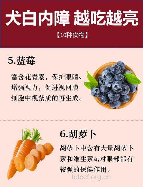 多吃什么有助于预防白内障呢