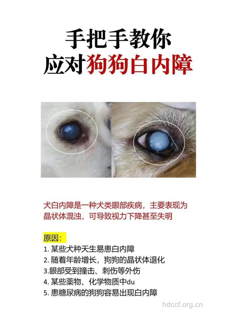 怎么抵御白内障来袭呢