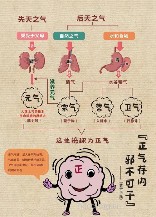 四季养生原则：内养正气 外慎邪气