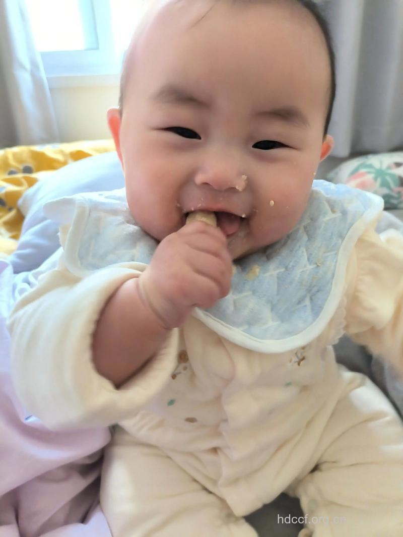 小儿长牙的时候吃什么食物最好