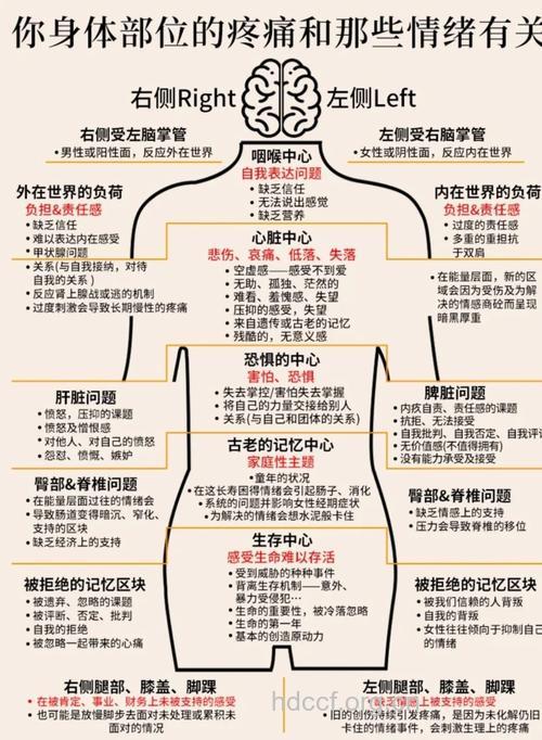 躯体疼痛与隐匿性抑郁症关系