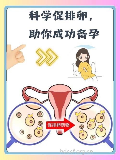 高龄女性生二胎 不要盲目促排卵