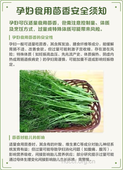 孕妇可以吃茴香吗 孕后不宜吃哪些食物