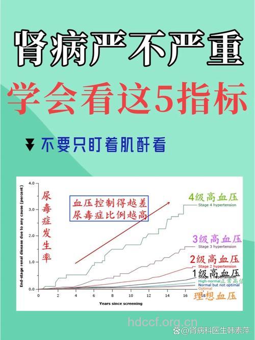 肾脏好不好就看这几个标准