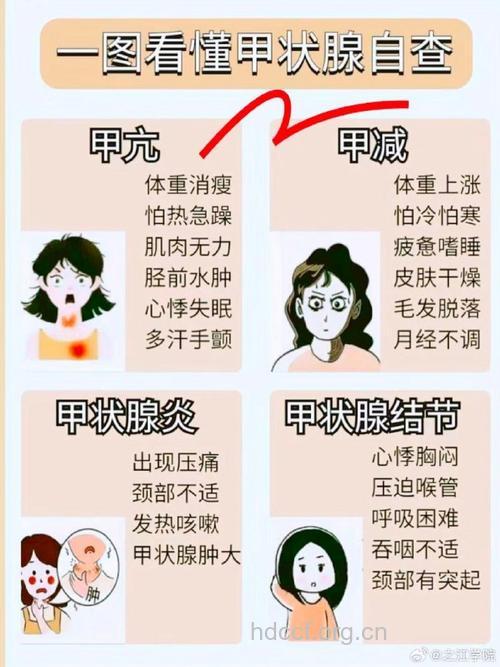 甲状腺功能障碍导致的女性不孕