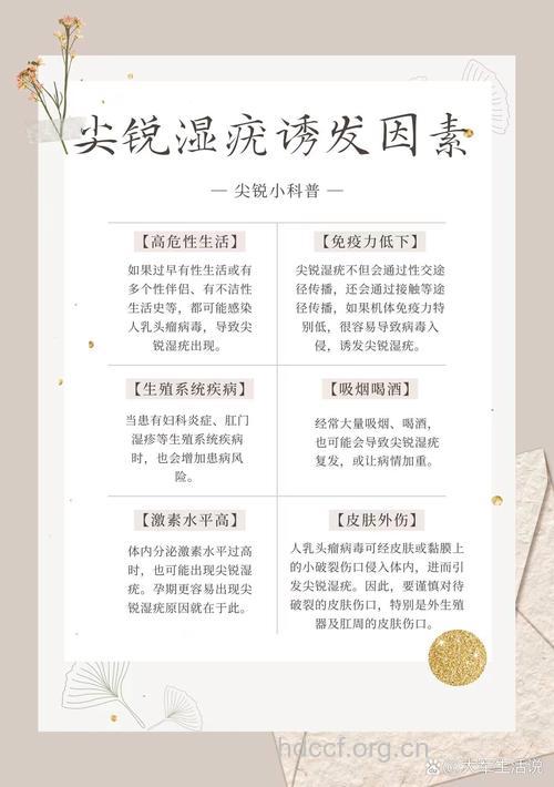 诱使尖锐湿疣的发病因素