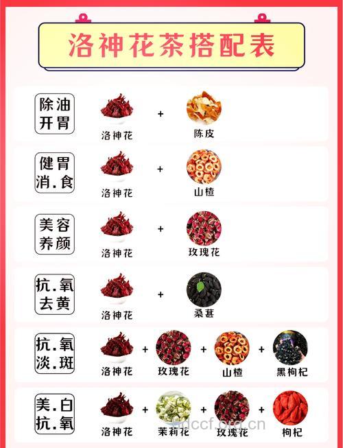 震惊！这些鲜花竟有养生的功效