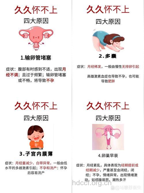 女性们易出现不孕现象的原因