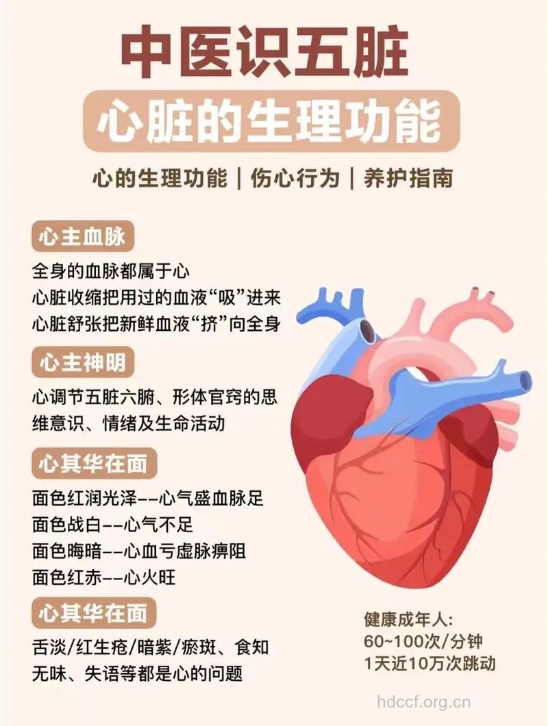 5个问题让你了解自己的心脏是否健康