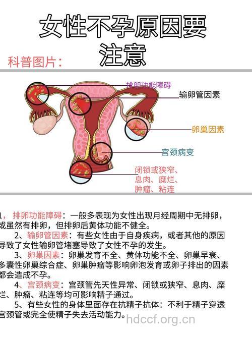 引起女性不孕的具体病因